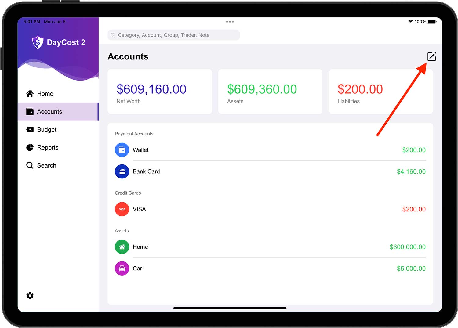 DayCost 2 - Accounts - iPad