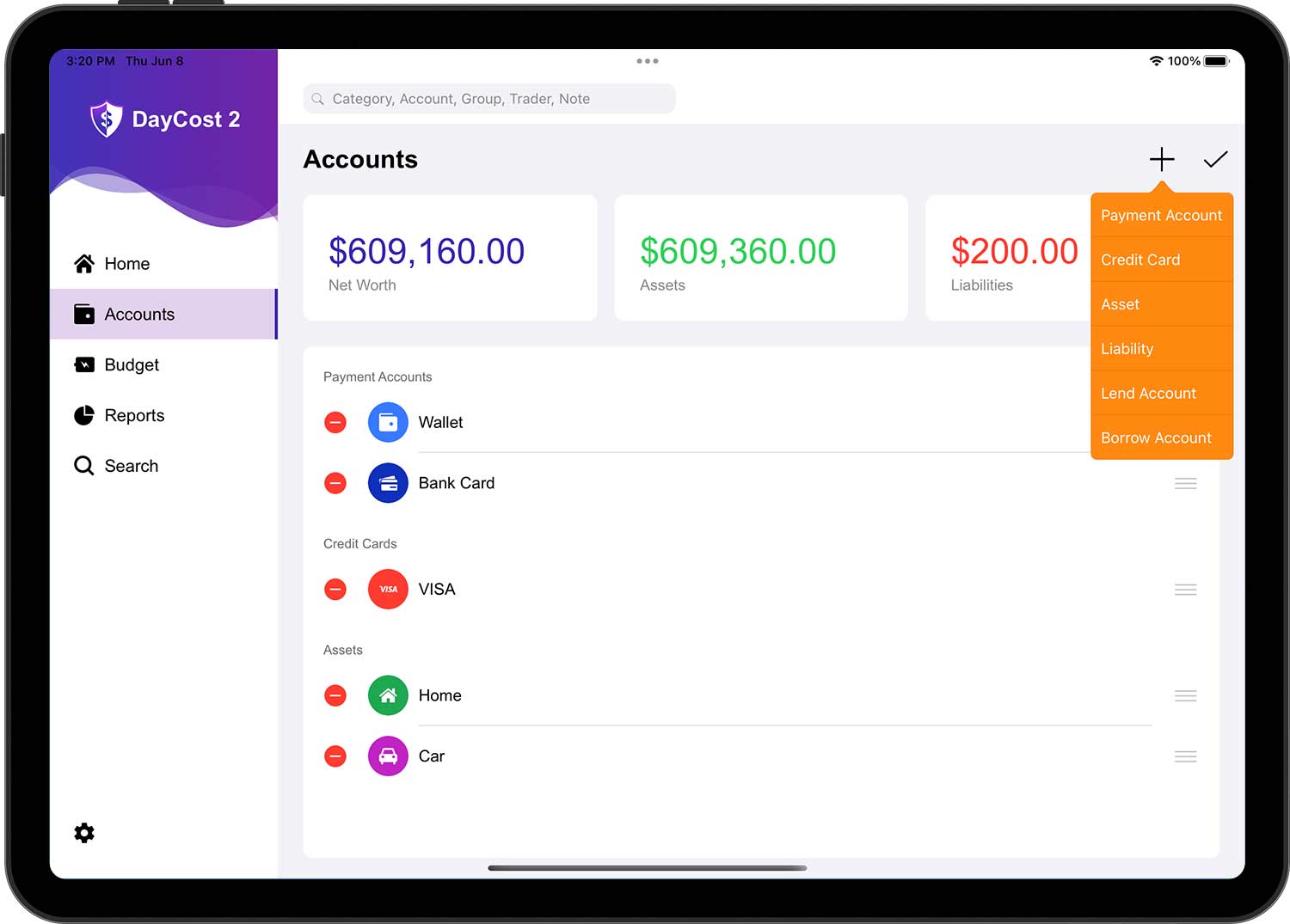 DayCost 2 - Accounts - iPad