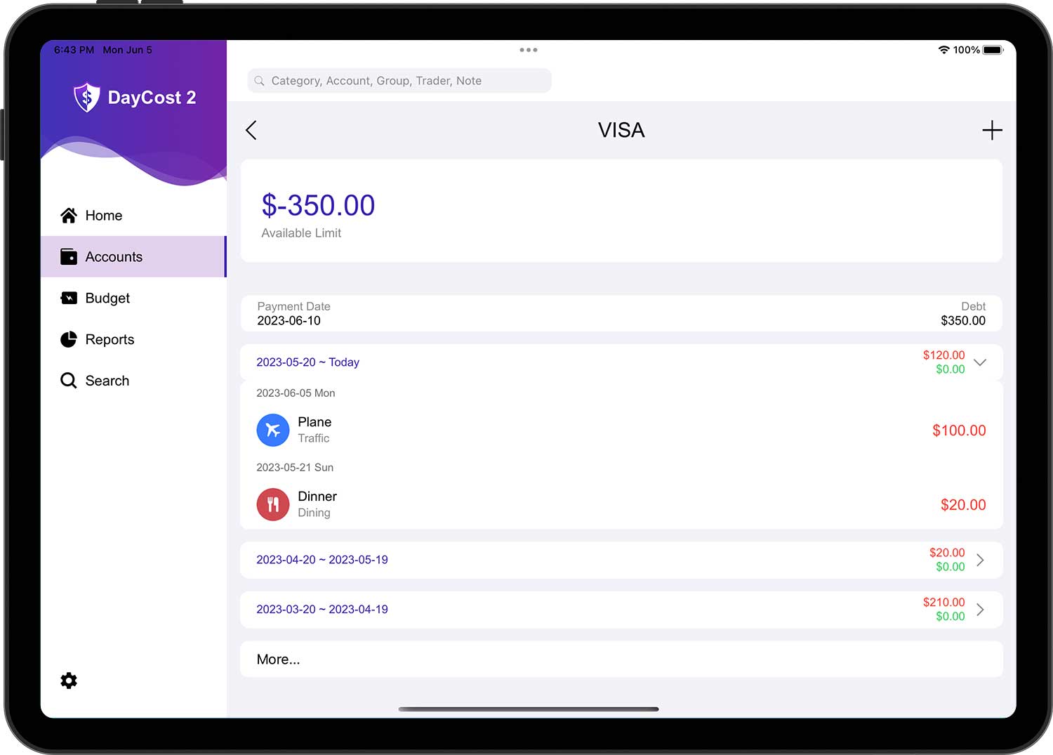 DayCost 2 - Accounts - iPad