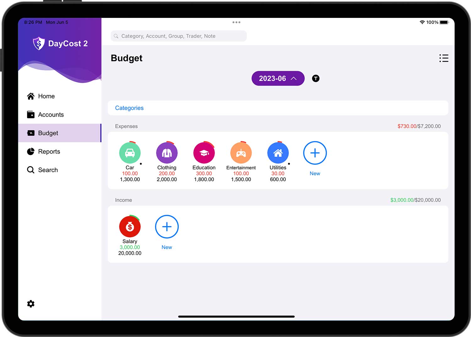DayCost 2 - Budget - iPad