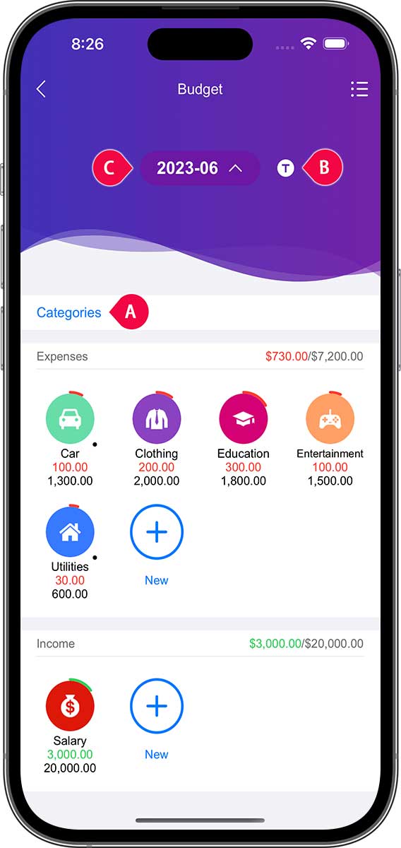 DayCost 2 - Budget - iPhone