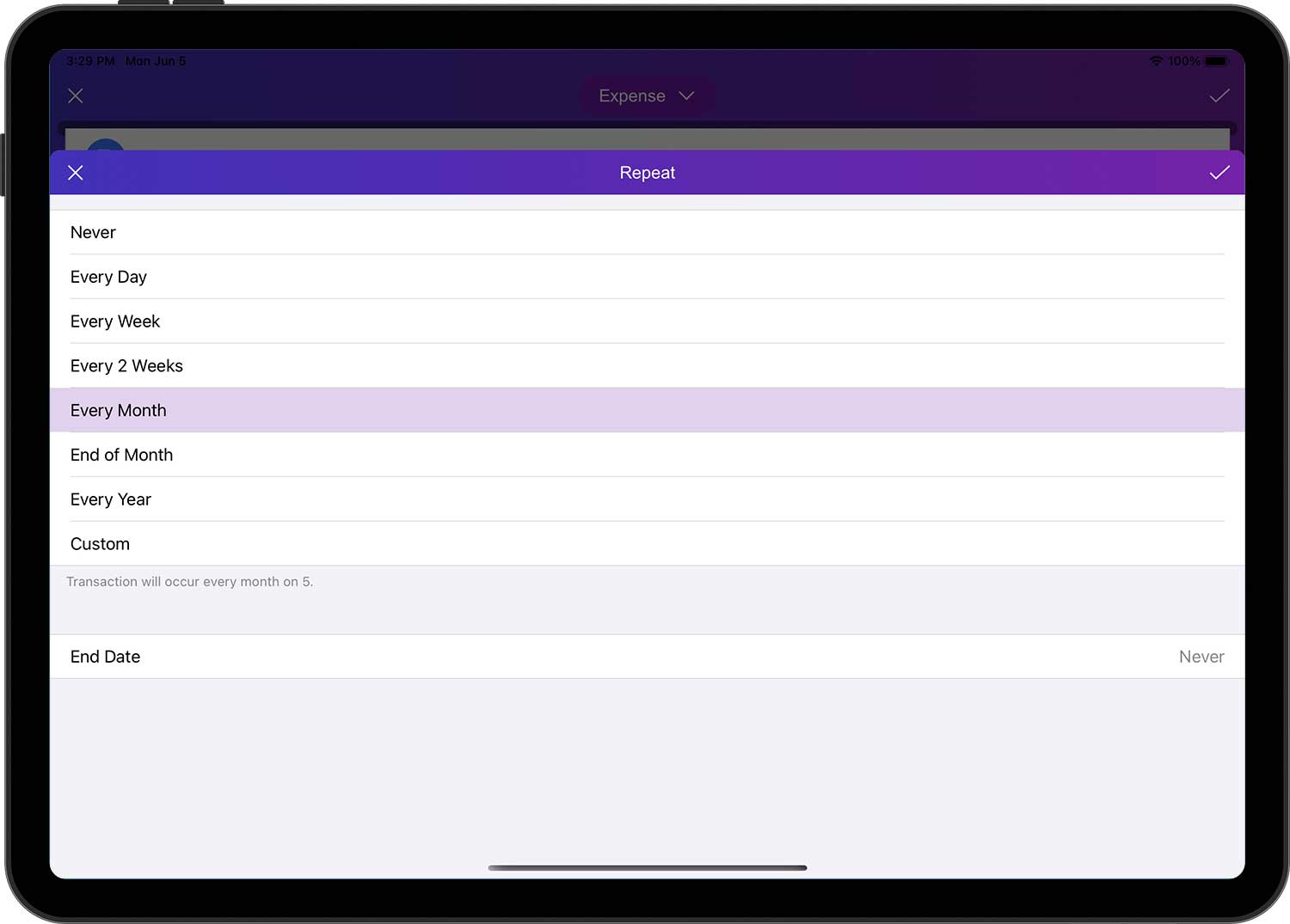 DayCost 2 - Main Page - iPad
