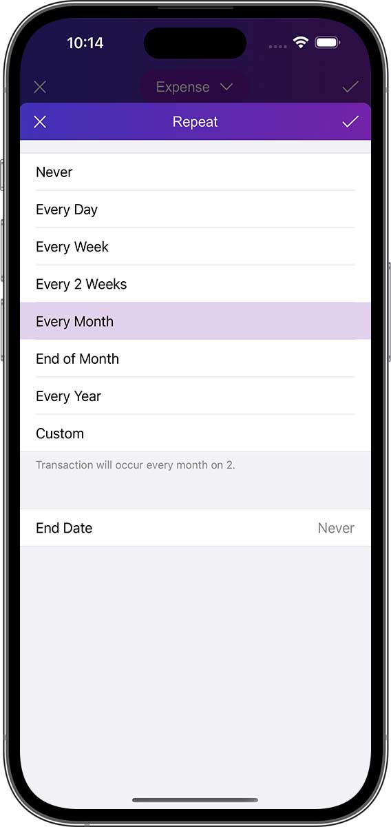 DayCost 2 - Main Page - iPhone