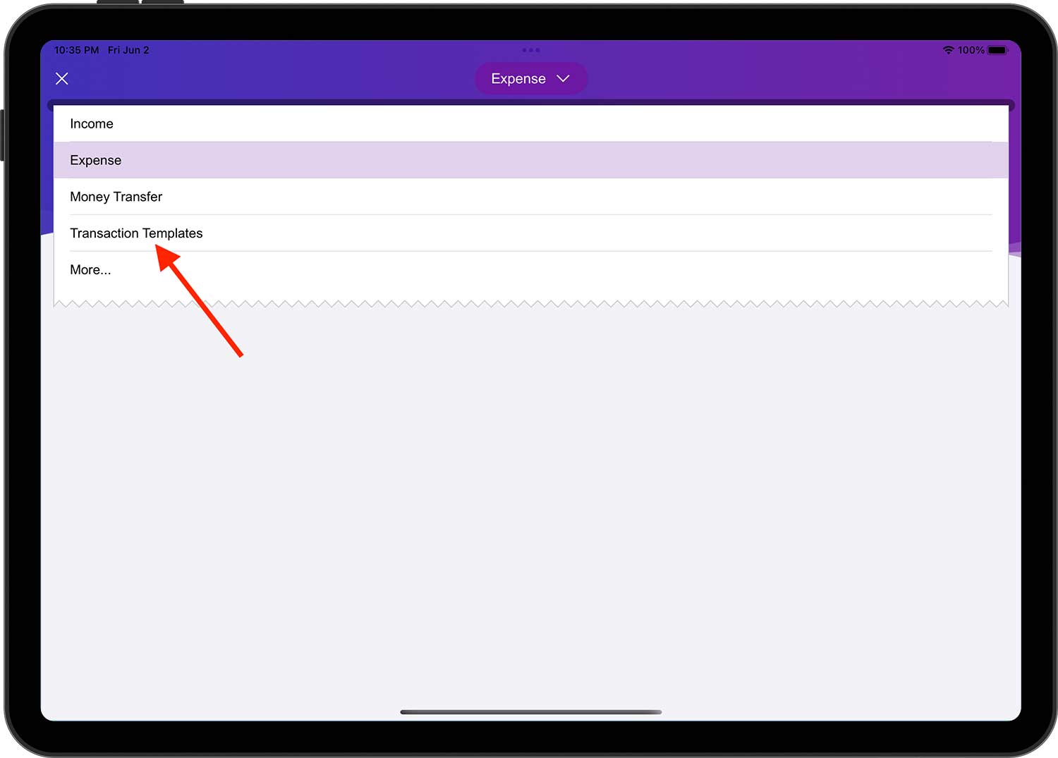 DayCost 2 - Main Page - iPad