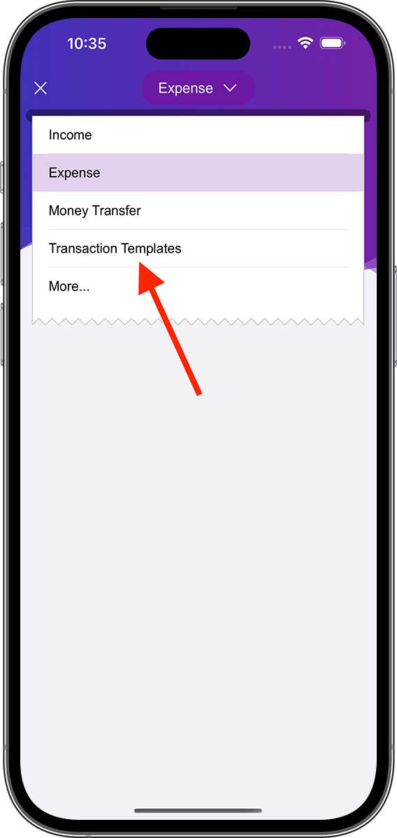 DayCost 2 - Main Page - iPhone
