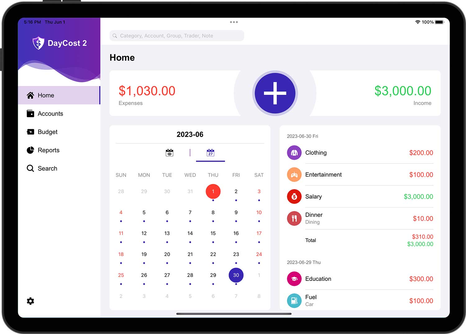 DayCost 2 - Main Page - iPad
