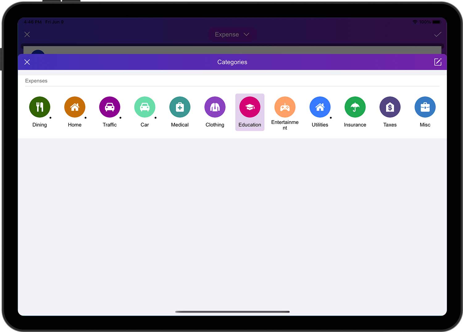 DayCost 2 - Main Page - iPad