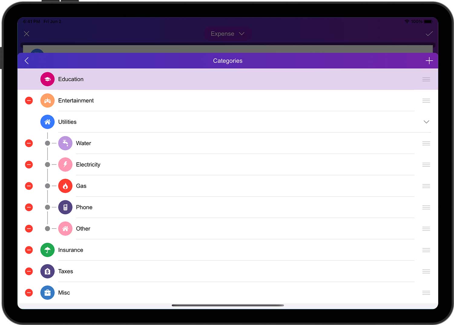 DayCost 2 - Main Page - iPad
