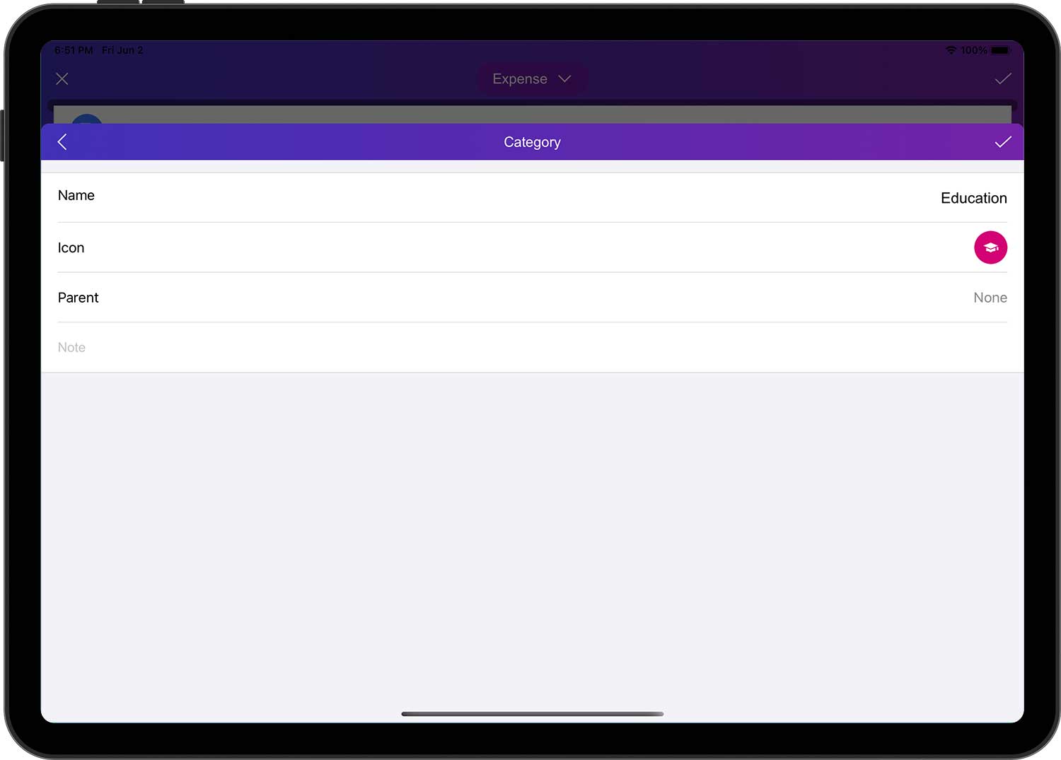 DayCost 2 - Main Page - iPad