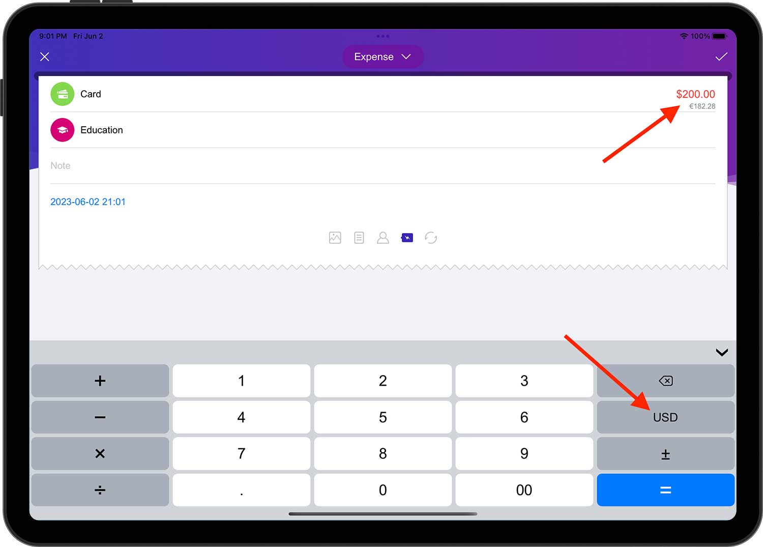 DayCost 2 - Main Page - iPad