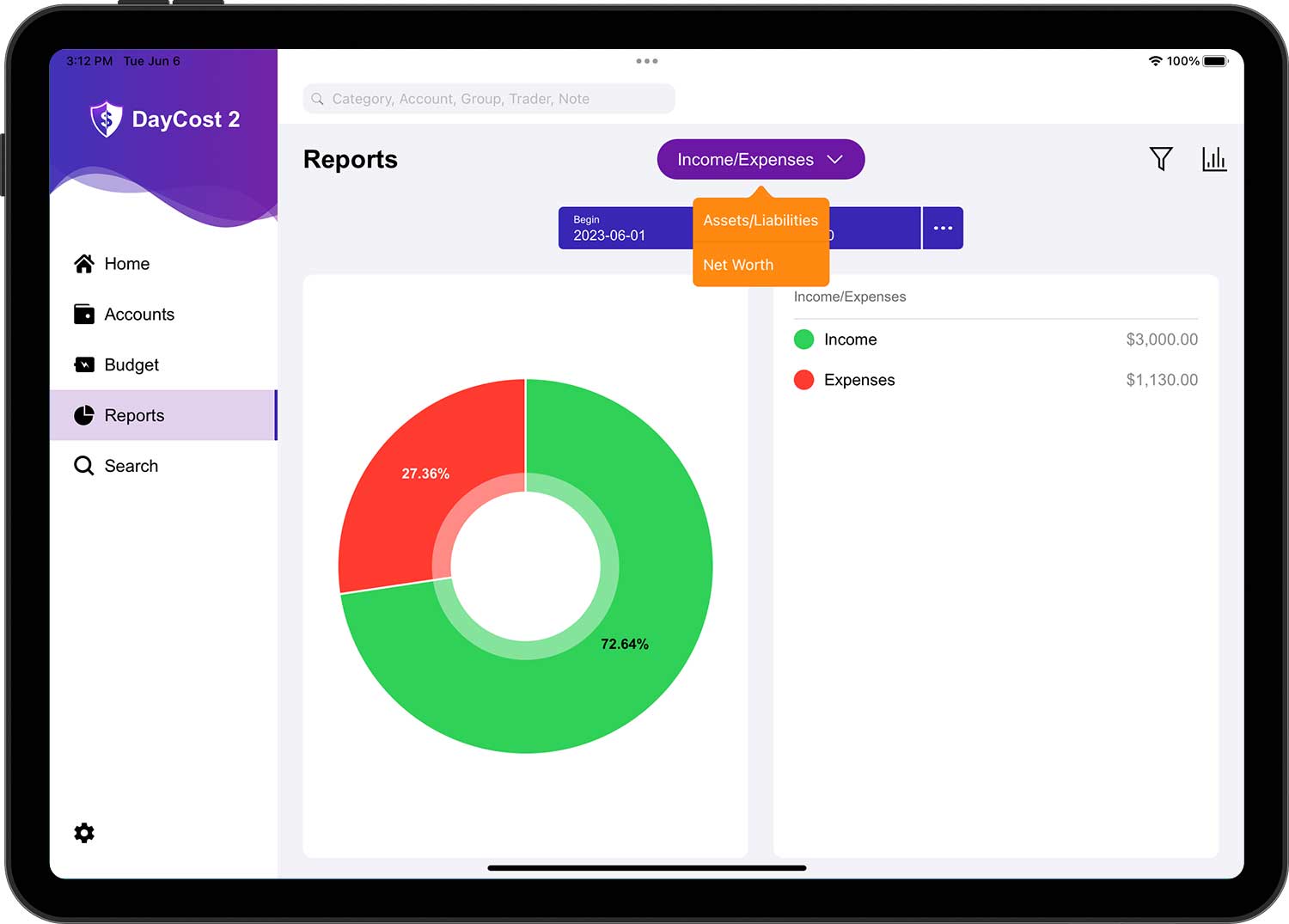 DayCost 2 - Reports - iPad