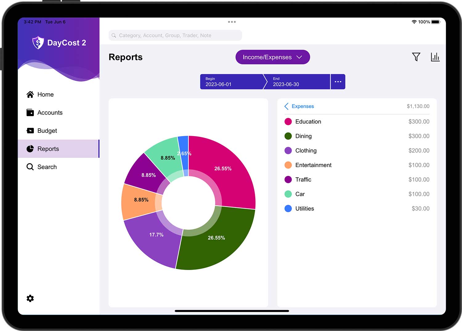 DayCost 2 - Reports - iPad