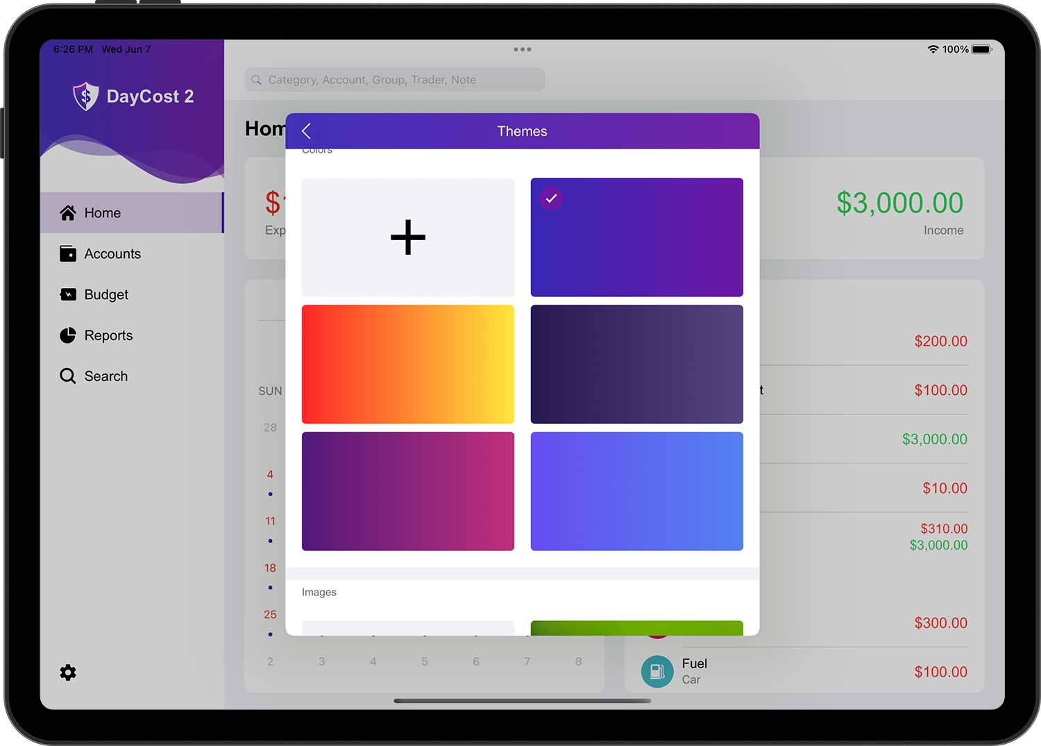 DayCost 2 - Settings - iPad