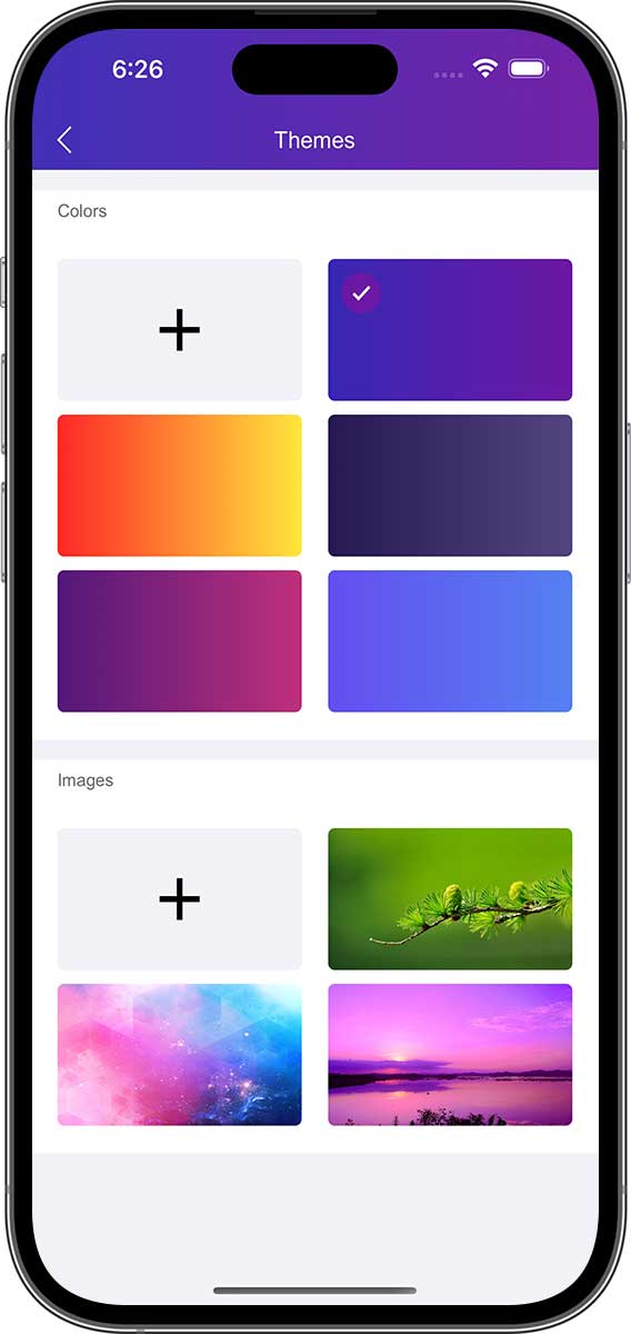 DayCost 2 - Settings - iPhone