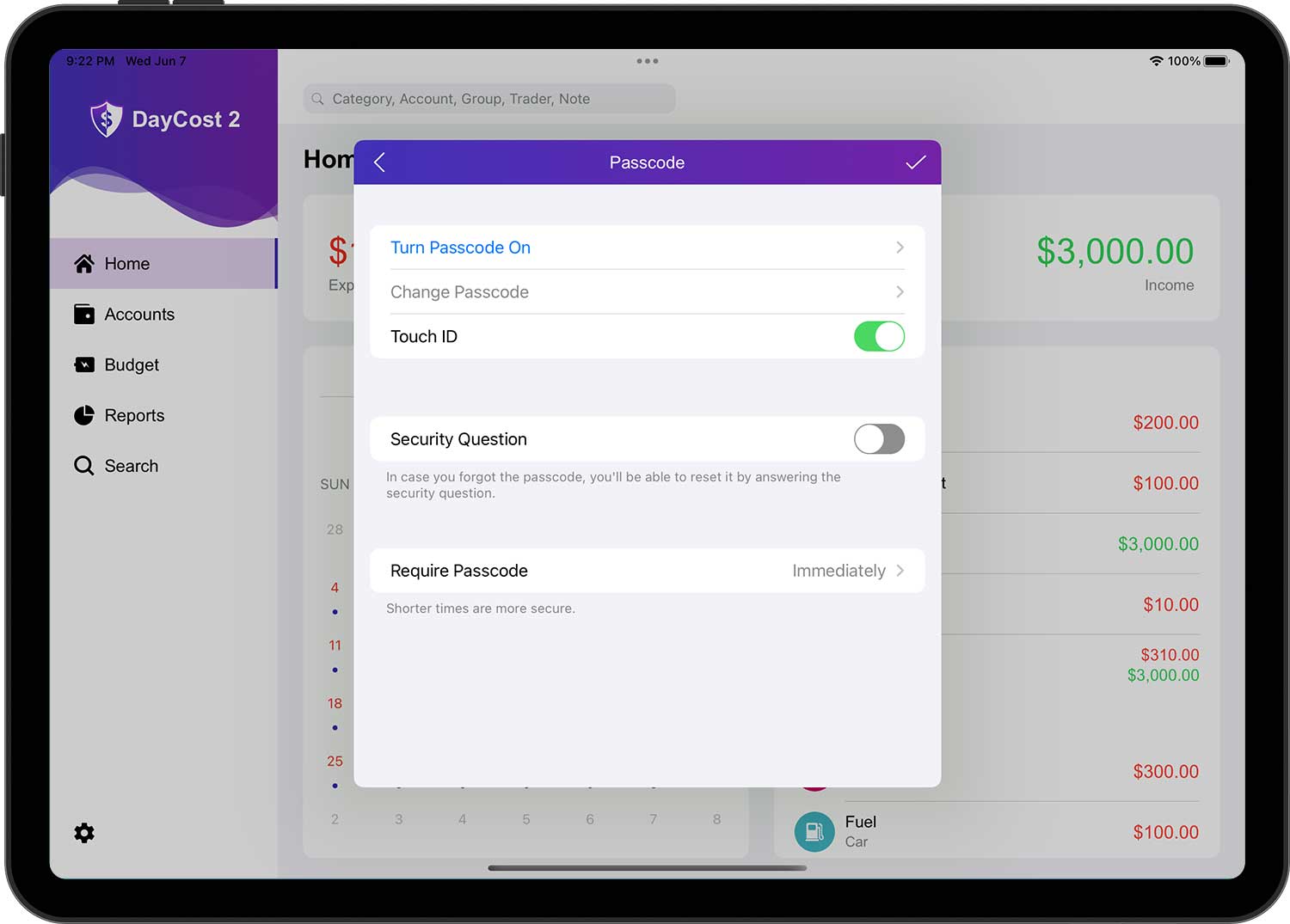 DayCost 2 - Settings - iPad