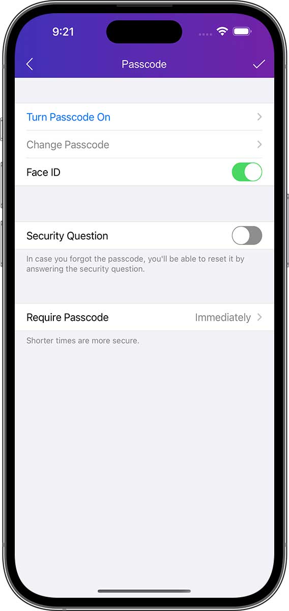 DayCost 2 - Settings - iPhone