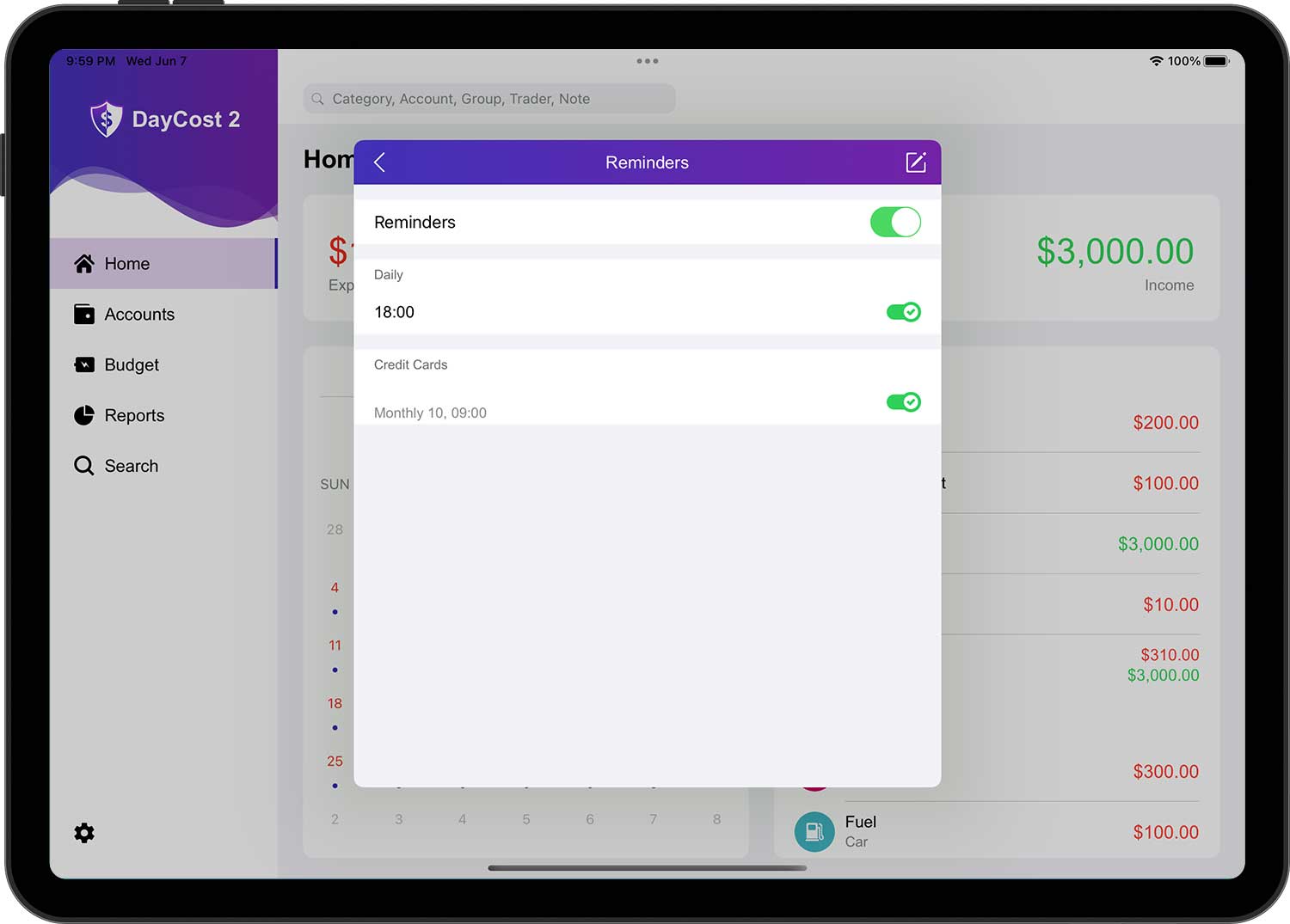 DayCost 2 - Settings - iPad