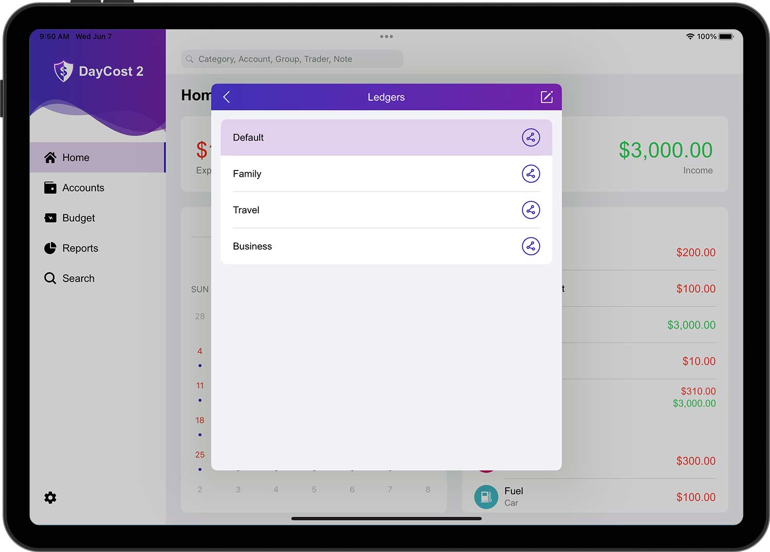 DayCost 2 - Settings - iPad