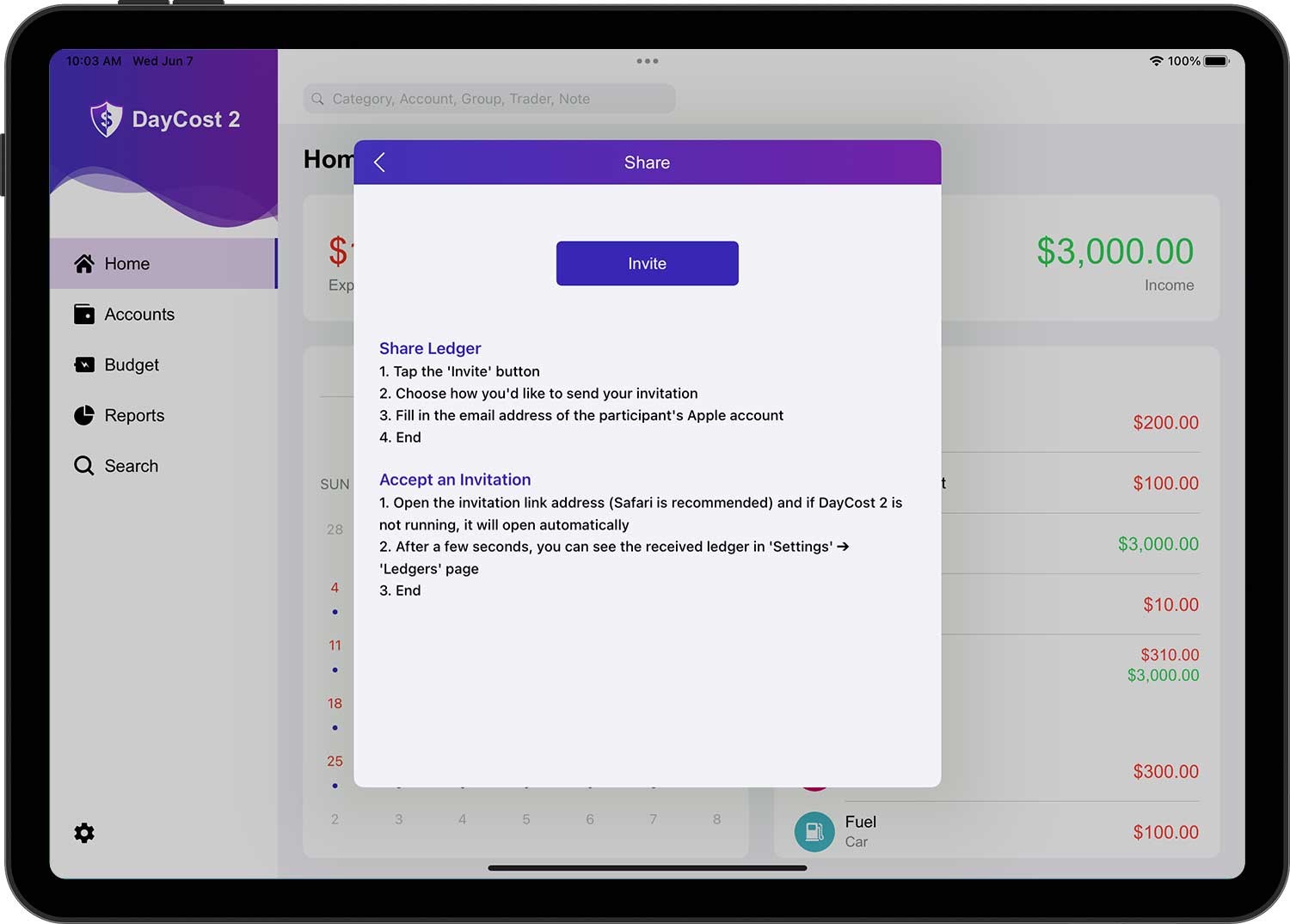 DayCost 2 - Settings - iPad