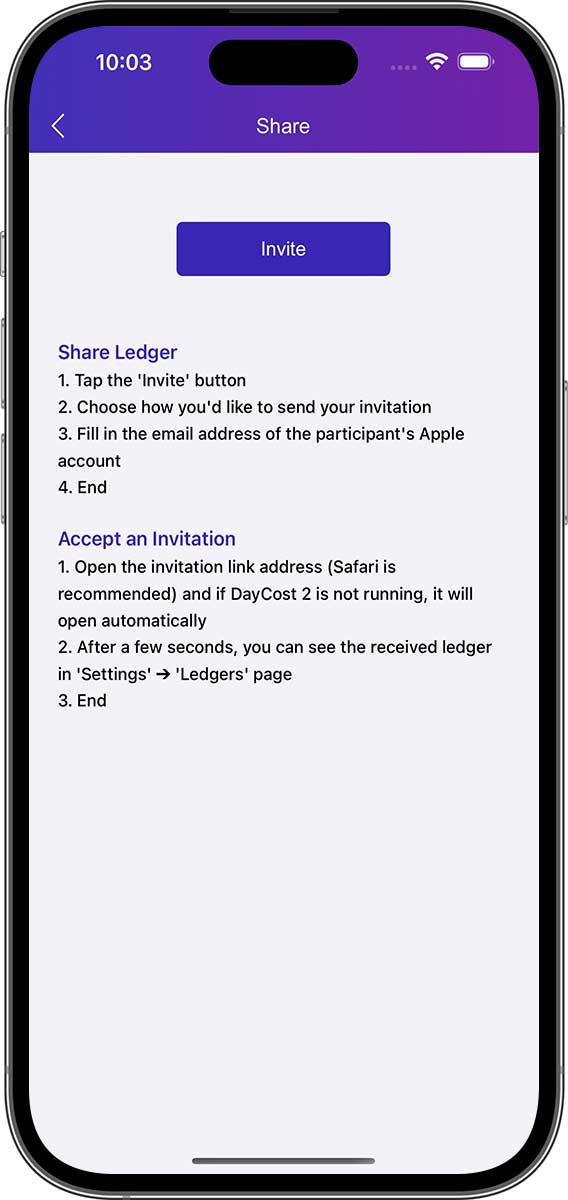 DayCost 2 - Settings - iPhone