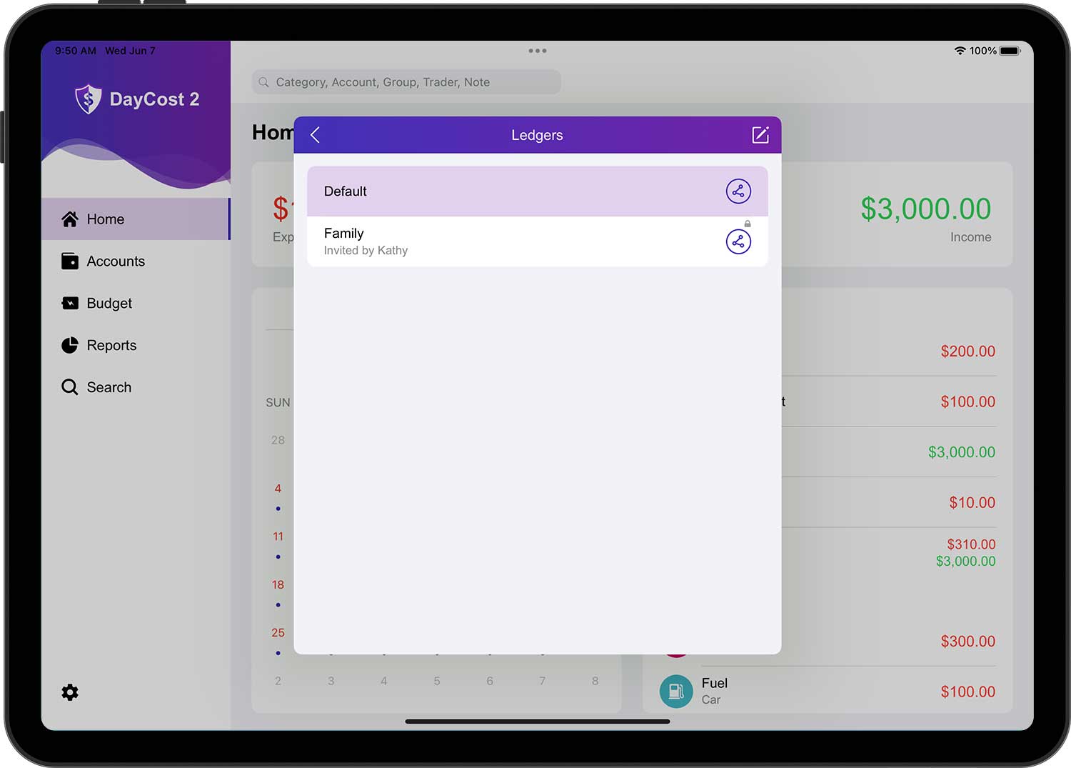 DayCost 2 - Settings - iPad