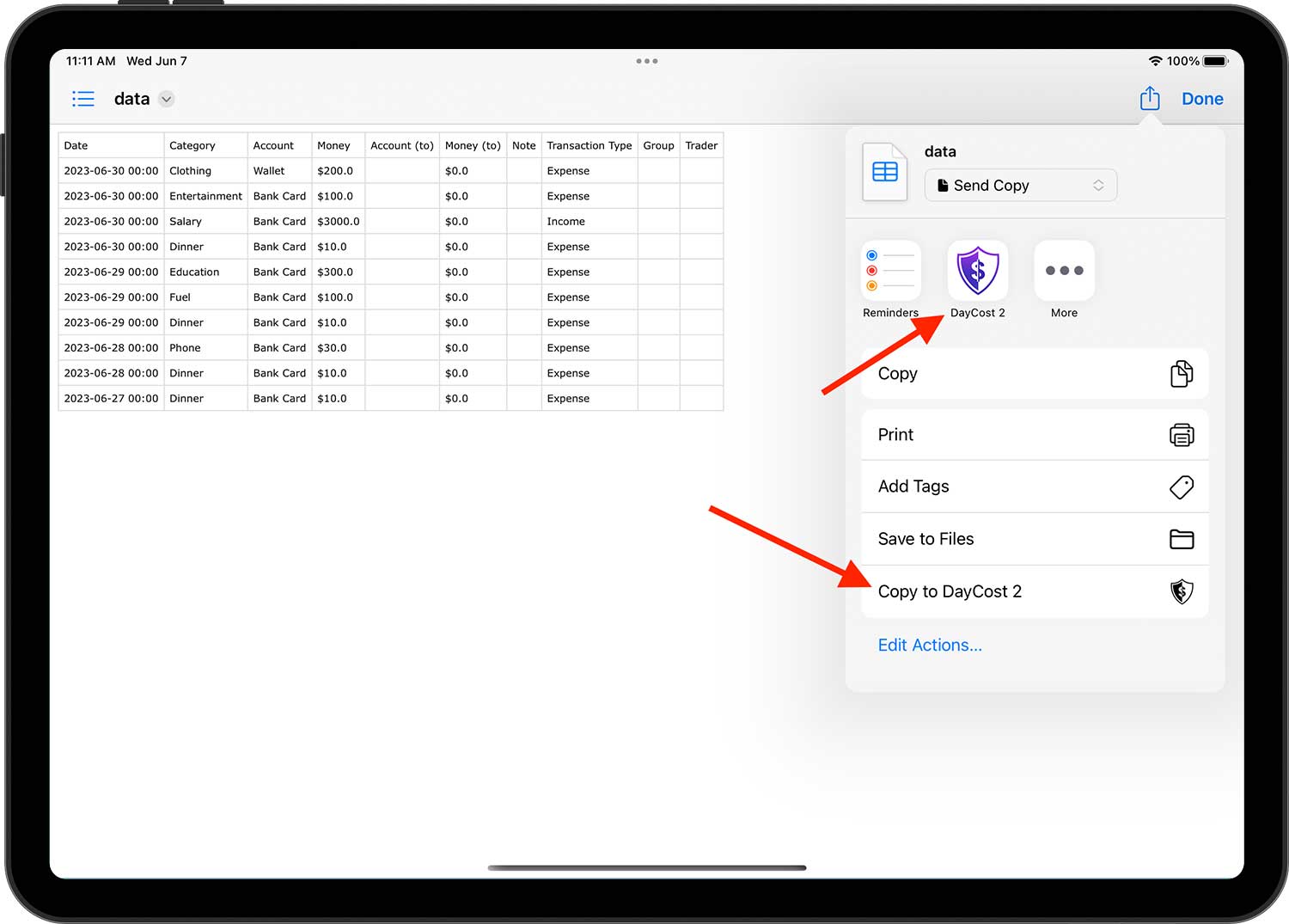 DayCost 2 - Settings - iPad