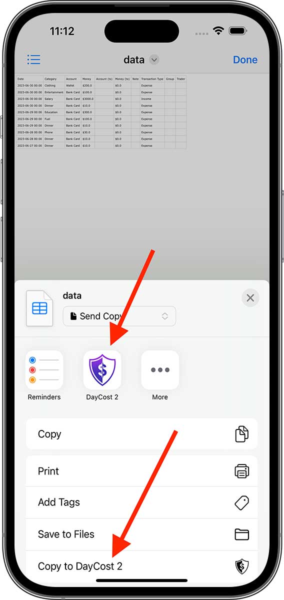 DayCost 2 - Settings - iPhone