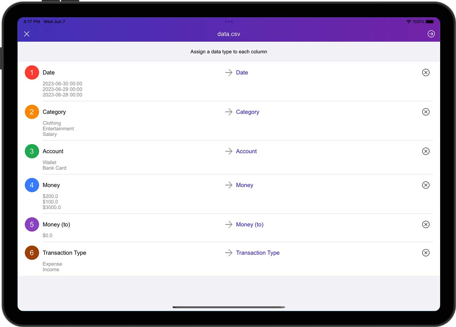 DayCost 2 - Settings - iPad
