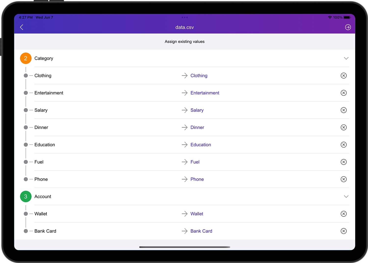 DayCost 2 - Settings - iPad