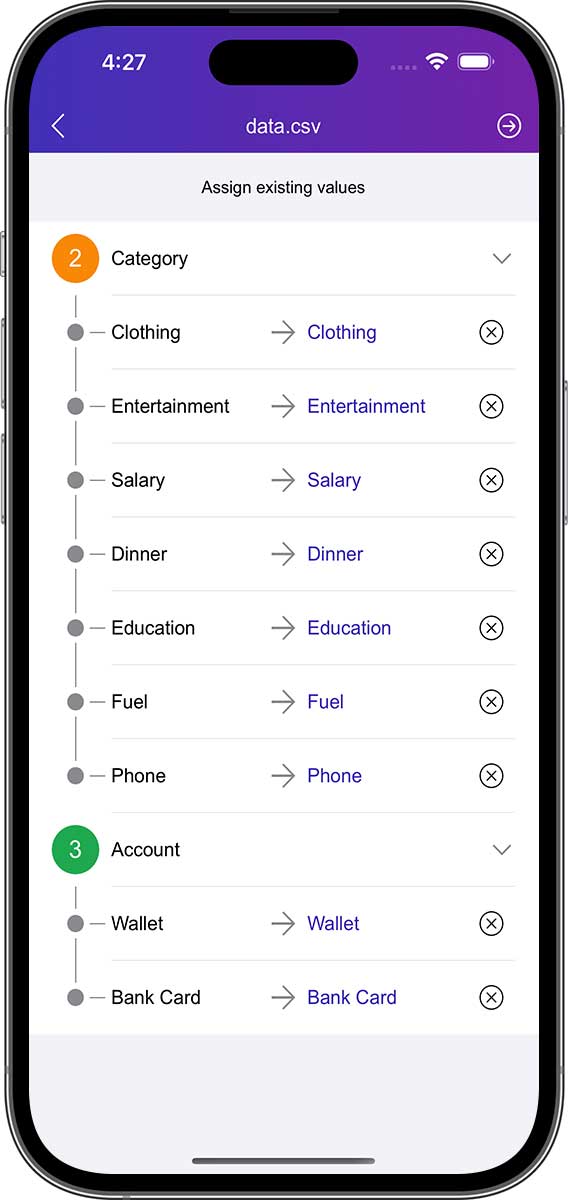 DayCost 2 - Settings - iPhone
