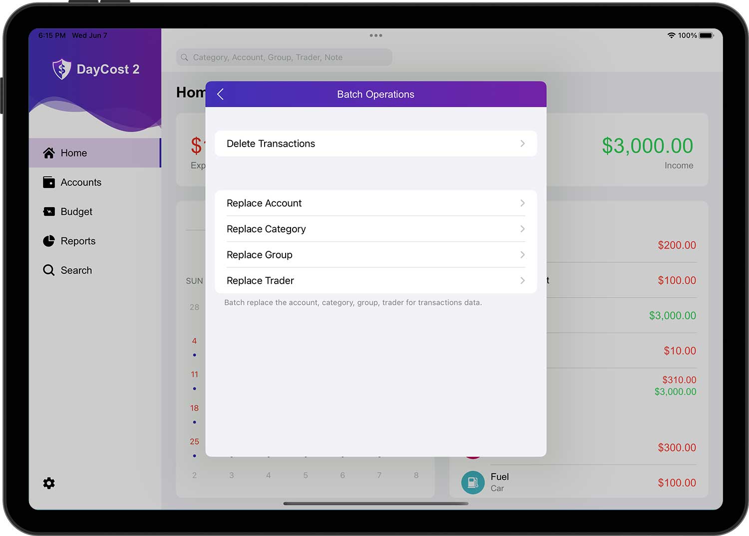 DayCost 2 - Settings - iPad